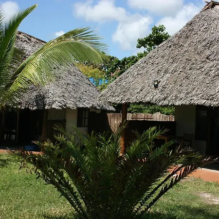 Driftwood Beach Lodge Jambiani  Exterior photo