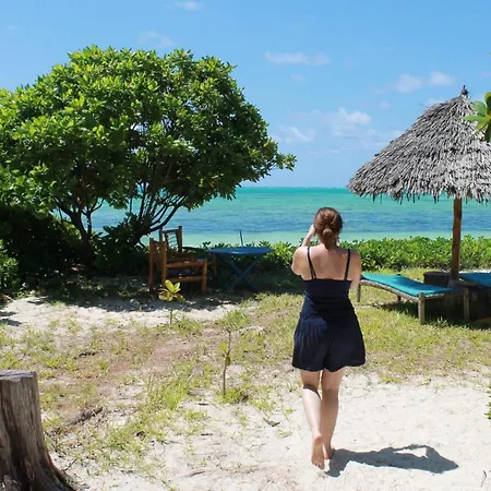 Driftwood Beach Lodge Jambiani  Exterior photo