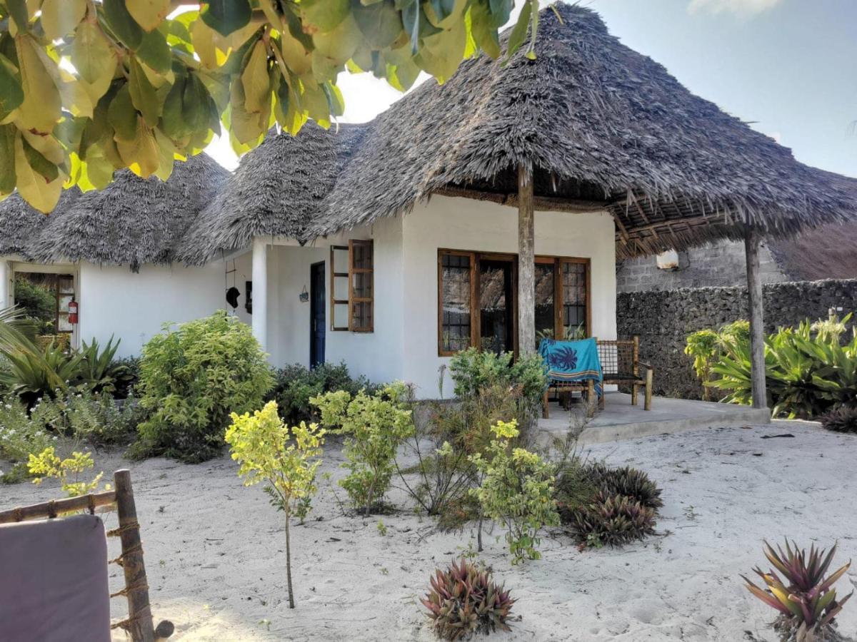 Driftwood 3* Jambiani (Zanzibar)