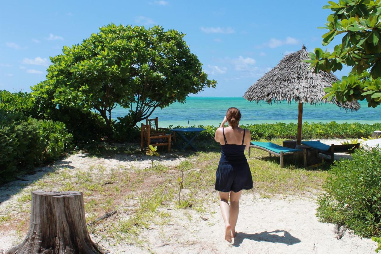 Driftwood Hotel 3*