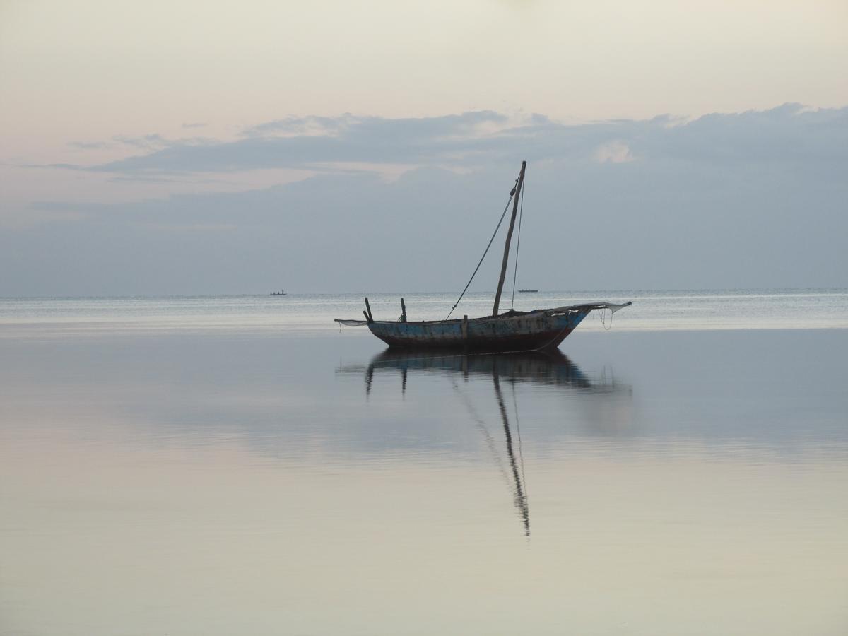 Hotel Driftwood 3*