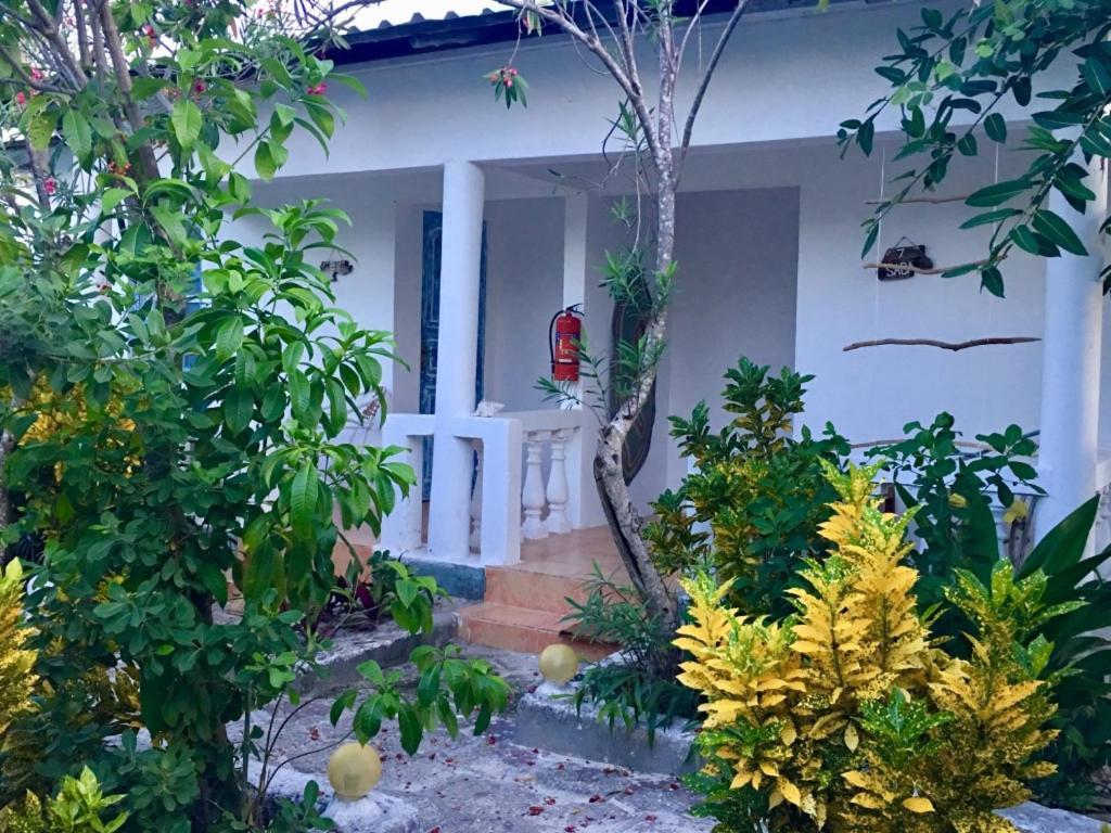 Driftwood 3* Jambiani (Zanzibar)