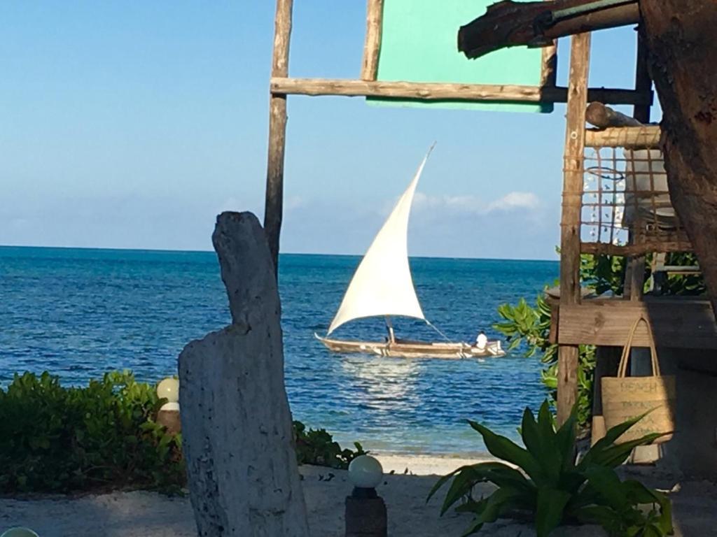 Hotel Driftwood