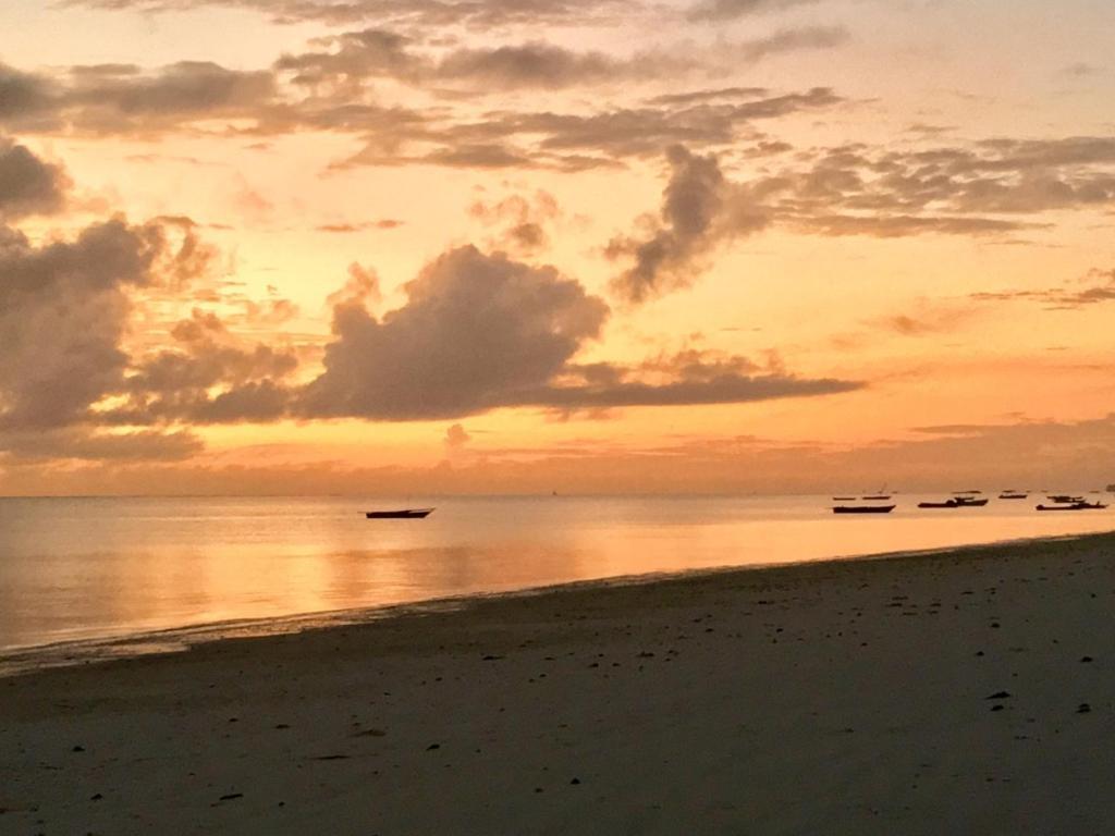 Driftwood 3* Jambiani (Zanzibar)