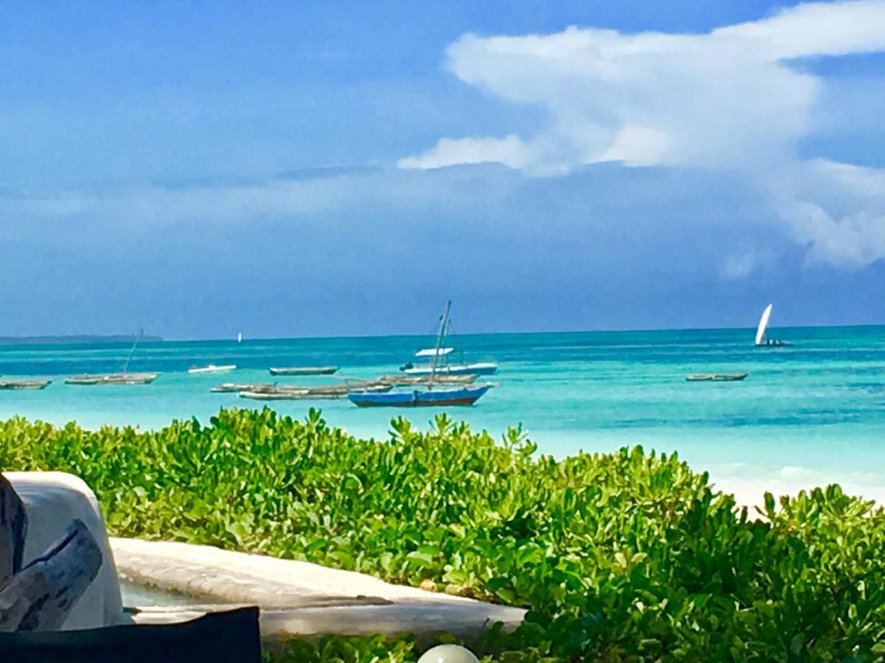 Driftwood Jambiani (Zanzibar)