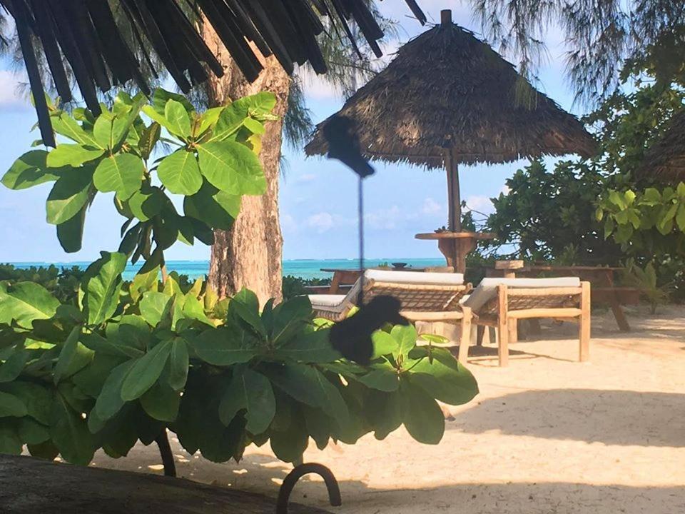 Hotel Driftwood 3*