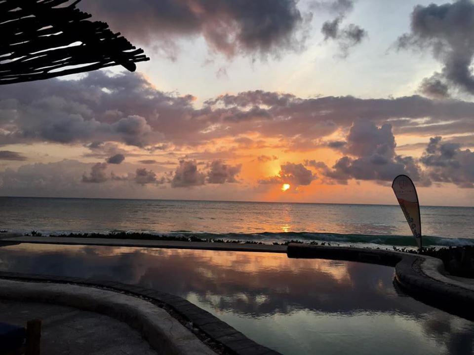 Driftwood 3* Jambiani (Zanzibar)