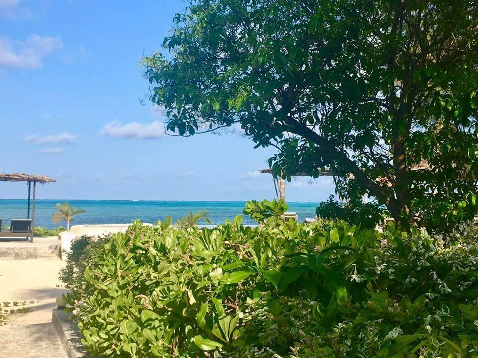 Driftwood 3* Jambiani (Zanzibar)