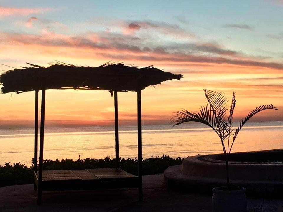 Driftwood 3* Jambiani (Zanzibar)
