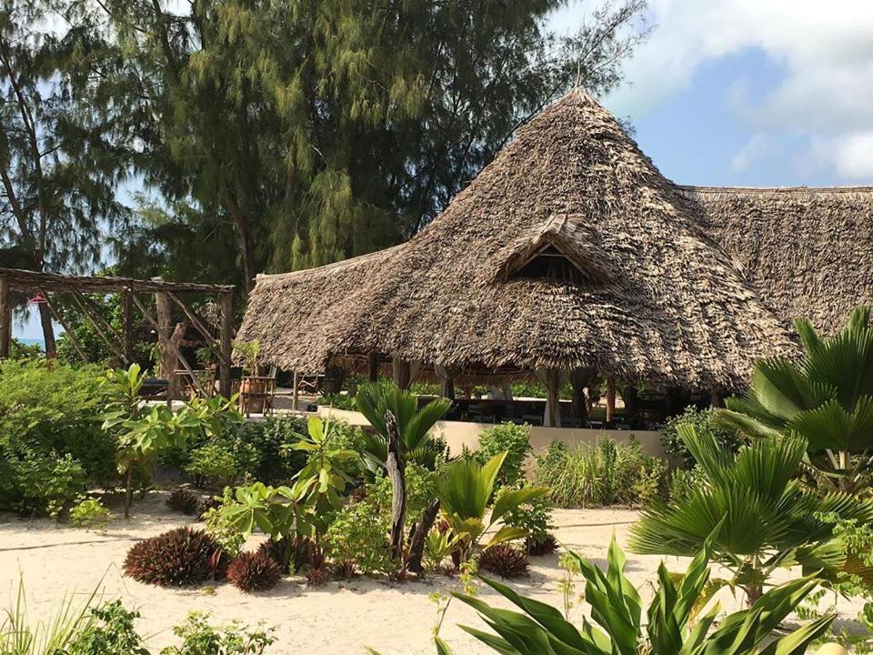 Driftwood 3* Jambiani (Zanzibar)