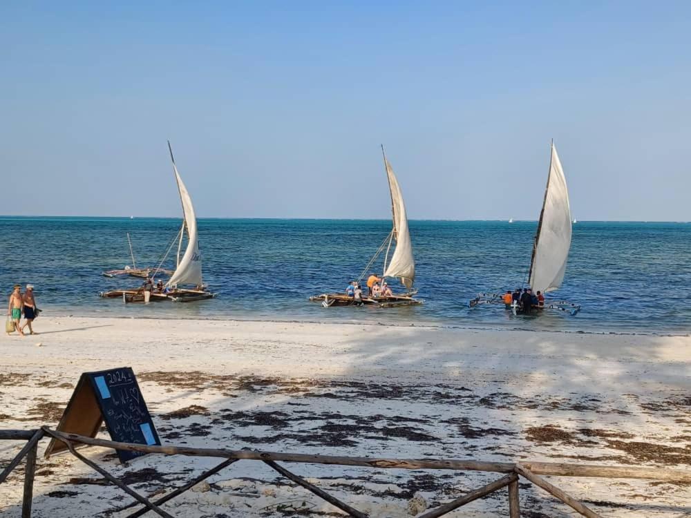 Driftwood 3* Jambiani (Zanzibar)