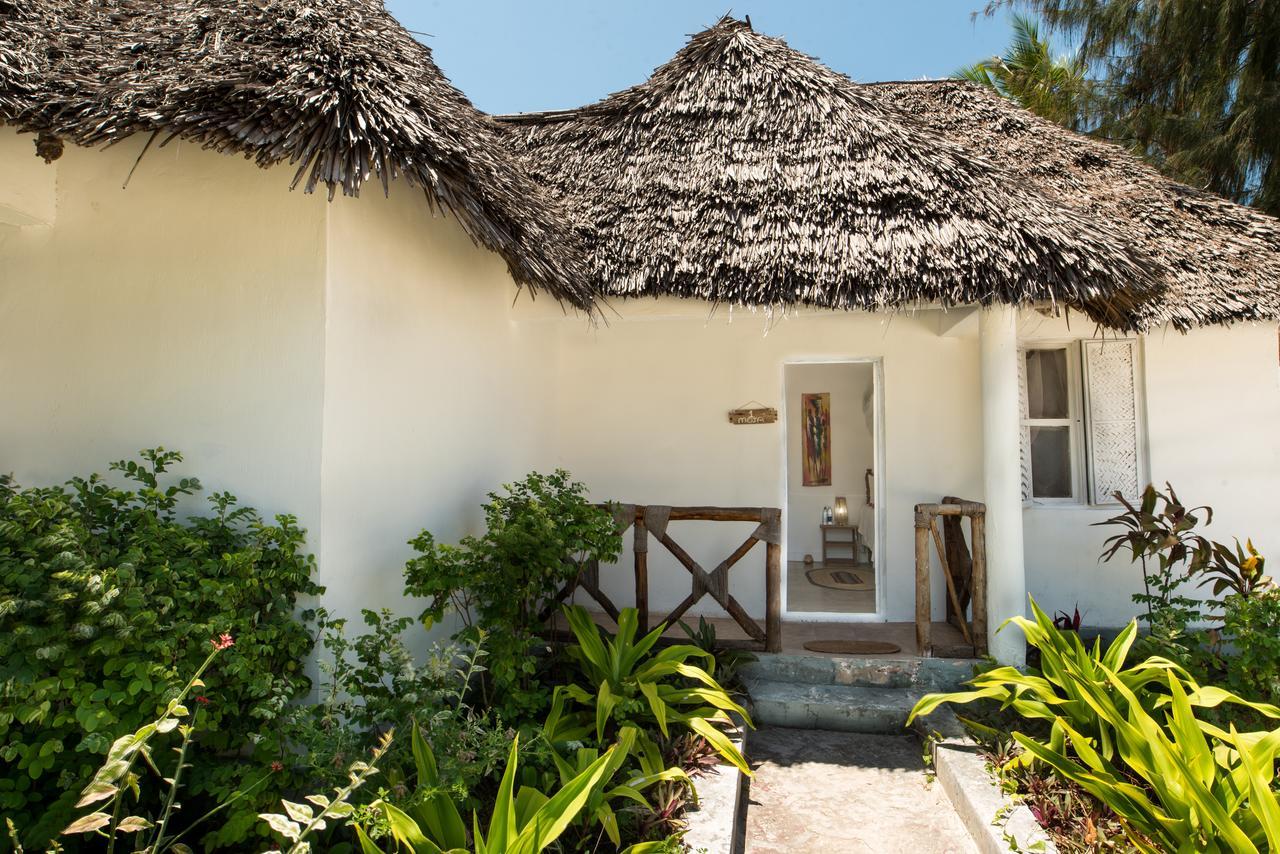 Driftwood Jambiani (Zanzibar)