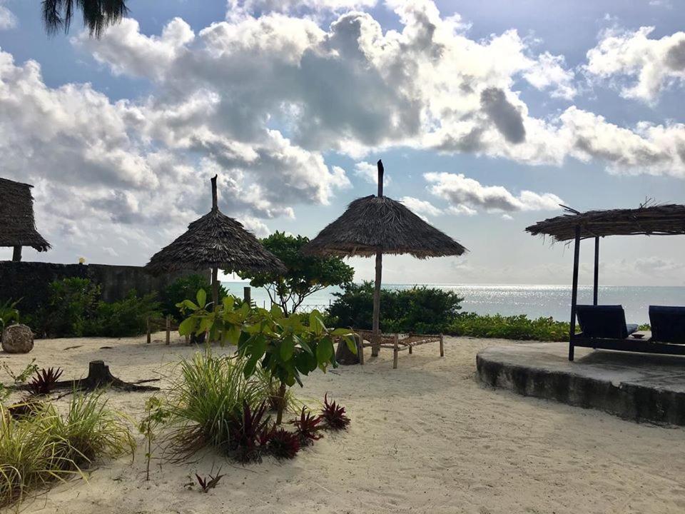 Driftwood Hotel