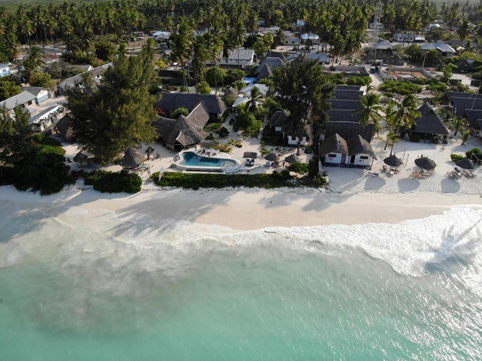Driftwood Hotel
